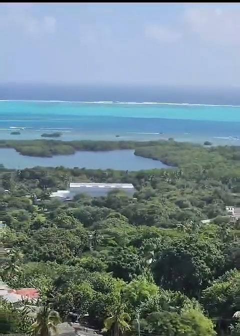 View from the First Baptist Church tower in La Loma: green treetops, a lagoon and the turquoise sea out to the reef.